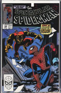 The Spectacular Spider-Man #154 (1989) Spider-Man