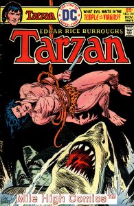 TARZAN (1972 Series)  (DC) #243 Very Good Comics Book