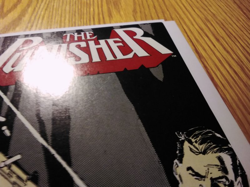 The Punisher #2 (1987)