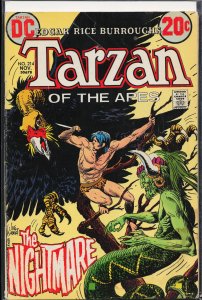 Edgar Rice Burroughs' Tarzan #214 (1972)