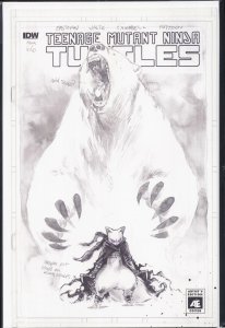 Teenage Mutant Ninja Turtles #66 Cover B (2017)