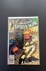The Amazing Spider-Man #256 (1984)