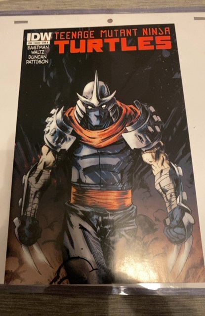 Teenage Mutant Ninja Turtles #10 Cover A - Dan Duncan (2012)