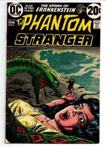 Phantom Stranger #25 - Spawn of Frankenstein - 1973 - FN 