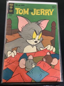Tom and Jerry #243 (2008)
