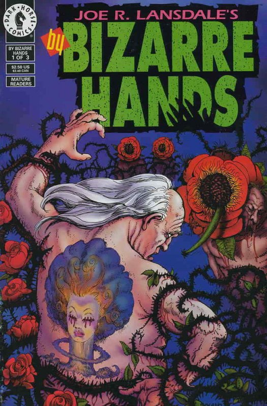 By Bizarre Hands #1 VF/NM; Dark Horse | save on shipping - details inside