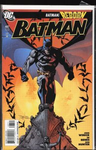 Batman #687 (2009) Batman