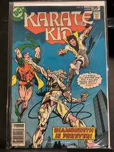 Karate Kid #14 (1978)