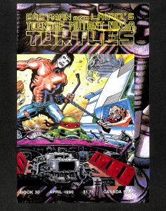 Teenage Mutant Ninja Turtles #30