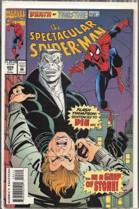 The Spectacular Spider-Man #205 (1993) Spider-Man