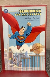 Superman For All Seasons #2 (1998)