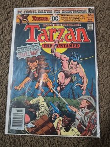 Tarzan #251 (DC Comics July 1976)