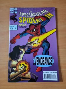 Spectacular Spider-Man #212 Direct Market Edition ~ NEAR MINT NM ~ 1994 Marvel