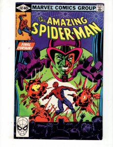 The Amazing Spider-Man #207 (1980)  / ID#811