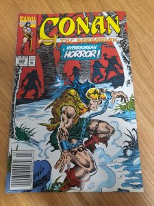 Conan the Barbarian #254 (1992)