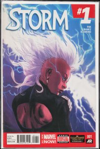 Storm #1 (2014) Storm