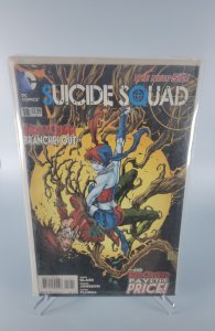 Suicide Squad #18 (2013)