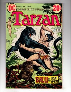 Edgar Rice Burroughs' Tarzan #213 (1972)  / ECA5X