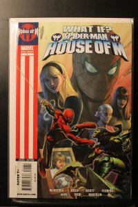 What If? Spider-Man House of M (2010)