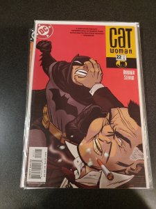 Catwoman #22 (2003)