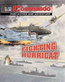Fighting Hurricat