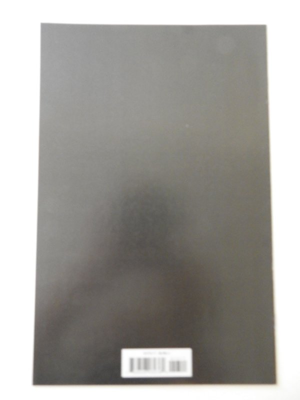 The Amazing Spider-Man #13 (2019) VF/NM Condition!