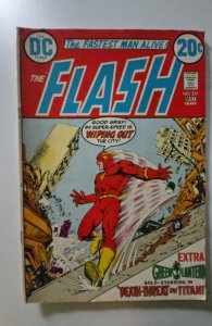 The Flash #221 (1973)
