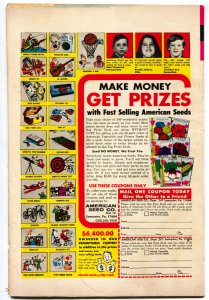 Dark Shadows #19  1973 - Gold Key  -VG - Comic Book