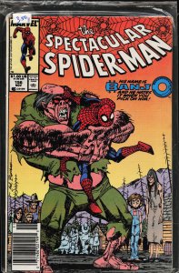 The Spectacular Spider-Man #156 (1989) Spider-Man