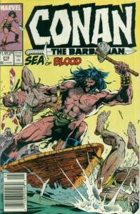 Conan the Barbarian (1970 series)  #218, NM (Stock photo)