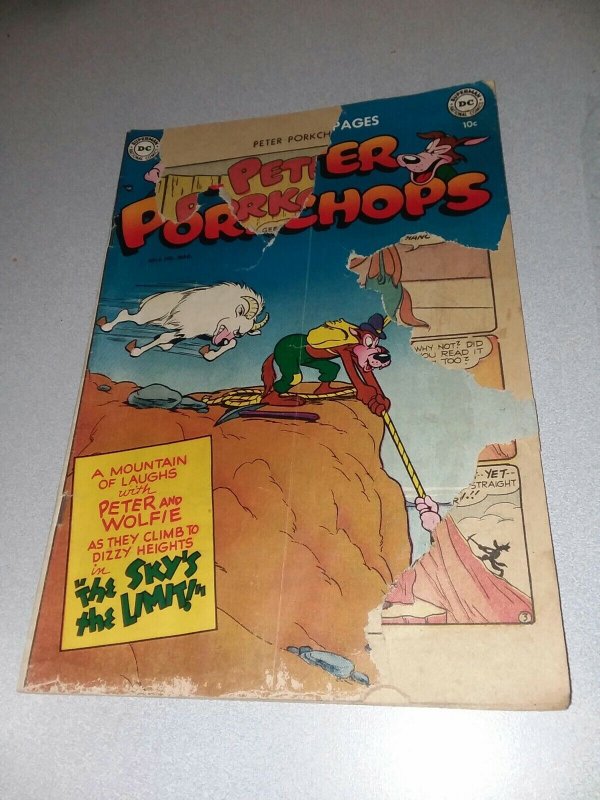 PETER PORKCHOPS #8 dc comics 1951 golden age funny animal cartoon precode