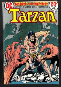 Tarzan #224 