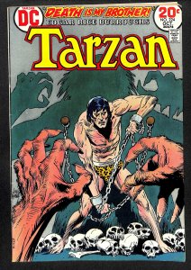 Tarzan #224 