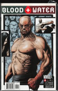 Blood and Water #4 (2003) Blood and Water