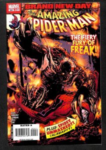 The Amazing Spider-Man #554 (2008)