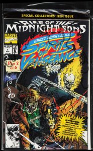 Ghost Rider/Blaze: Spirits of Vengeance #1 (1992) Ghost Rider