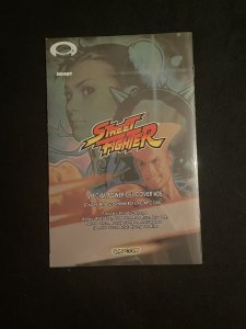 Street Fighter #5 (2004) Shinkiro Exclusive cover Image Comics