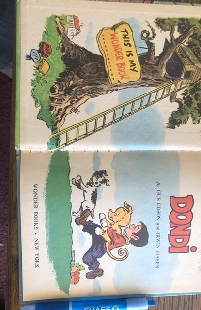 Dondi 1961 Wonder book
