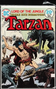 Edgar Rice Burroughs' Tarzan #226 (1973)