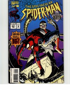 The Spectacular Spider-Man #221 (1995) Spider-Man