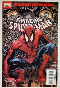 The Amazing Spider-Man #553 (2008)