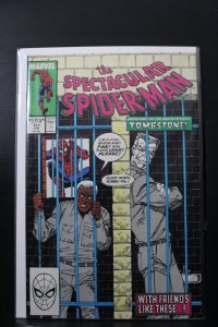 The Spectacular Spider-Man #151 Newsstand Edition (1989)