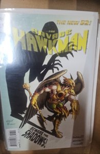 The Savage Hawkman #17 (2013)