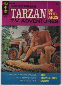 Edgar Rice Burroughs' Tarzan #165 (1967)