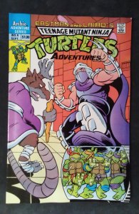 Teenage Mutant Ninja Turtles Adventures #4 (1989)