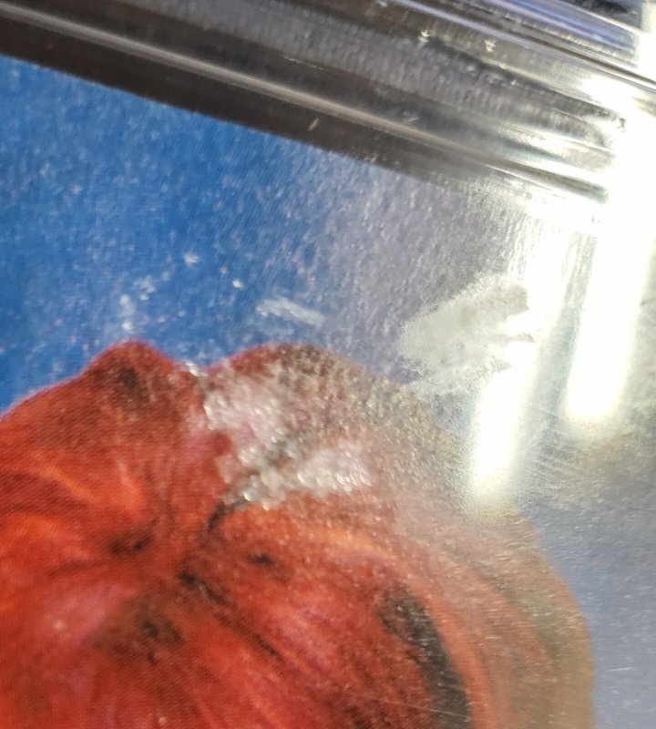 Star Wars: Jedi vs. Sith #1 - 1st App Darth Bane (CGC 9.0) 2001