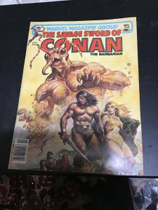 The Savage Sword of Conan #70 (1981) Affordable grade! VG+ Wow