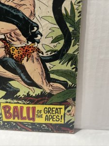 Tarzan #213 1972 DC