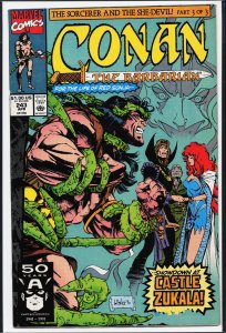 Conan the Barbarian #243 (1991) Conan
