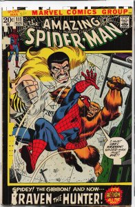 The Amazing Spider-Man #111 (1972) Spider-Man